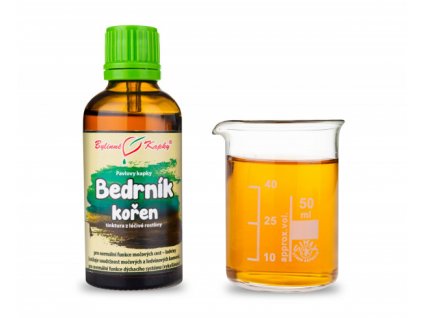 bedrnik koren bylinne kapky tinktura 50 ml