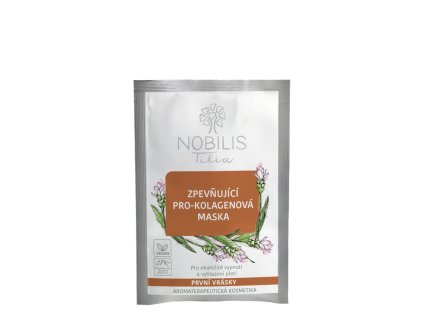 Snímek obrazovky 2025 11 13 133330