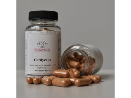 150 cordyceps 60