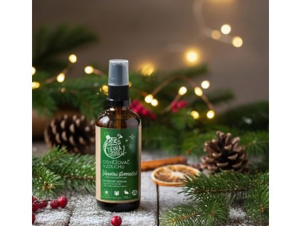 Snímek obrazovky 2025 11 21 120517