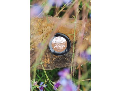 Snímek obrazovky 2025 11 24 v 21.22.21