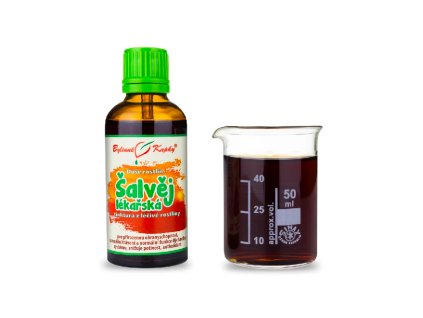 Snímek obrazovky 2025 11 28 v 15.35.55