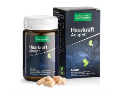 Snímek obrazovky 2025 12 15 v 23.23.15