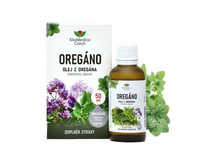 Snímek obrazovky 2025 12 18 091628