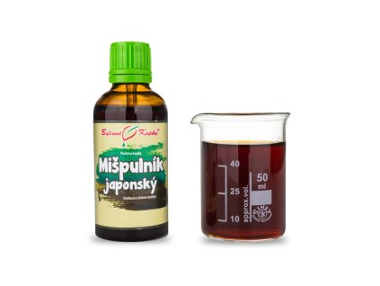 Snímek obrazovky 2025 12 18 145548