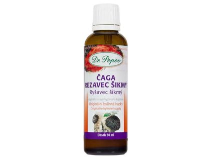 Snímek obrazovky 2025 12 23 094154