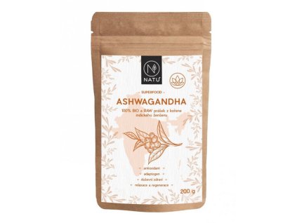 Snímek obrazovky 2026 01 17 123924