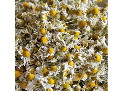 Snímek obrazovky 2026 01 17 141830