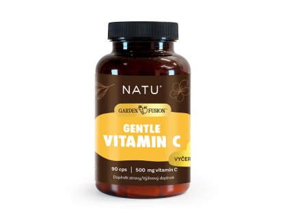 Snímek obrazovky 2026 01 20 084603