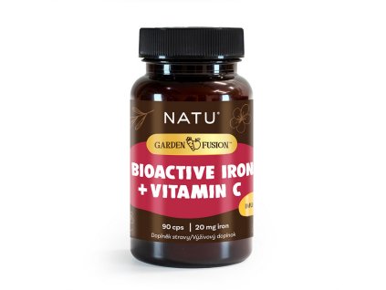 Snímek obrazovky 2026 01 20 090218