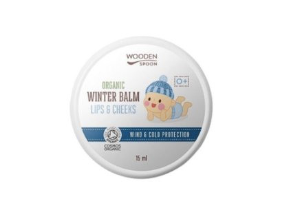 Snímek obrazovky 2026 01 22 152732