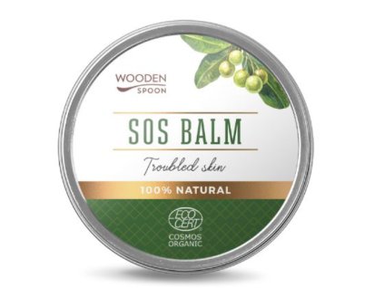 Snímek obrazovky 2026 01 22 153831