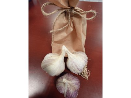 ČESKÝ ČESNEK paličák - odrůda Karel IV. - 3 KS RODINNÁ FARMA ŠLAPANICE