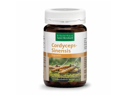 Snímek obrazovky 2026 01 30 103714