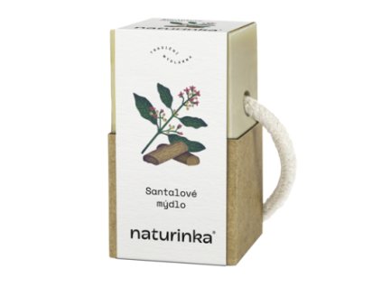 Snímek obrazovky 2026 01 30 142838