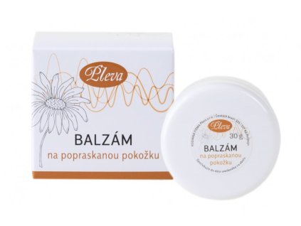 Snímek obrazovky 2026 02 03 144112