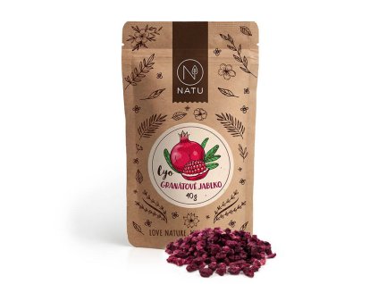 Snímek obrazovky 2026 02 09 142256