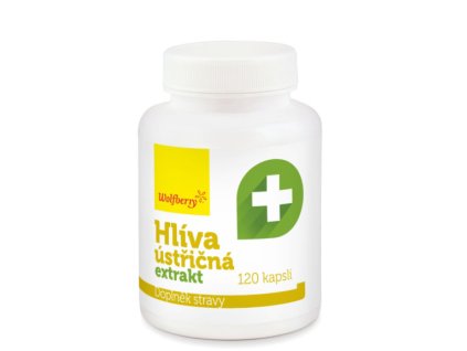 Snímek obrazovky 2026 02 09 145701