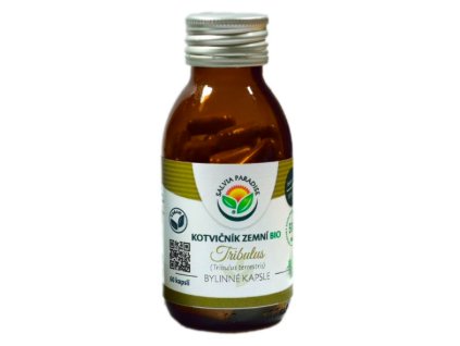 Snímek obrazovky 2026 02 12 v 22.11.46