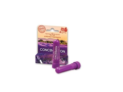 Snímek obrazovky 2026 02 17 093303