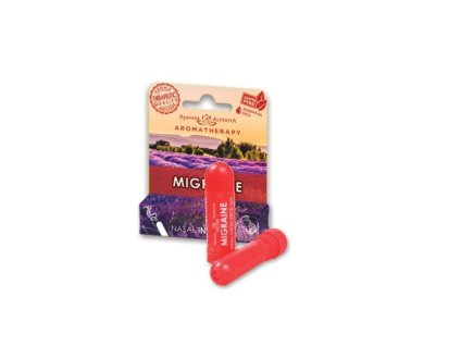 Snímek obrazovky 2026 02 17 142313