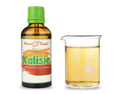 Snímek obrazovky 2026 02 17 201948