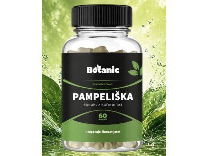 pampeliska2