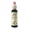 agrimony 20ml(1)