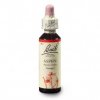 agrimony 20ml(1)