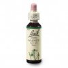 agrimony 20ml(1)