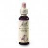 agrimony 20ml(1)