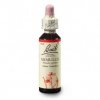 agrimony 20ml(1)
