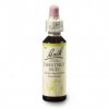 agrimony 20ml(1)