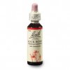agrimony 20ml(1)