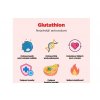 24950 1 glutathion nejsilnejsi antioxidant infografika brainmarket cz