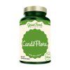 greenfood nutrition candiflora 90 kapsli