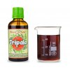 tripala triphala bylinne kapky tinktura 50 ml