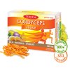 cordyceps 60 suroviny web 1280px 1691743923