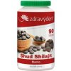 shud shilajit mumio 90 tablet 378g.jpg 207x317 q85 subsampling 2