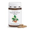 goji berry extrakt 500 mg 90 kapsli