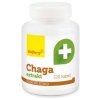 chaga w