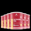 Fatburn Tea 6x
