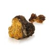 image chaga