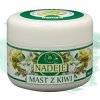 nadeje mast z kiwi net