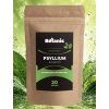psyllium2