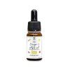 7cd5db70f8fbff19d73522c5cce4fed6 omega algae oil 50ml