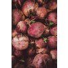 ČERVENÁ ŘEPA BIO prášek - ORGANIC BEETROOT powder 100 g GOODIE