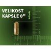 zinek velikost