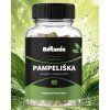 pampeliska2