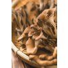 Maitake Mushroom Risks, Benefits, and More